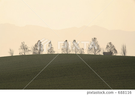 樹木 山丘 風景 688116
