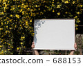 White board _ Yellow flower 2 688153