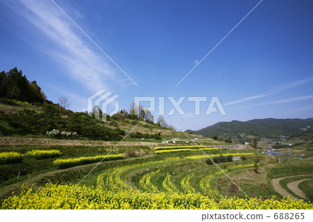 明日香村Inabuchi米大陽台 明日香村Inabuchi米大陽台 688265