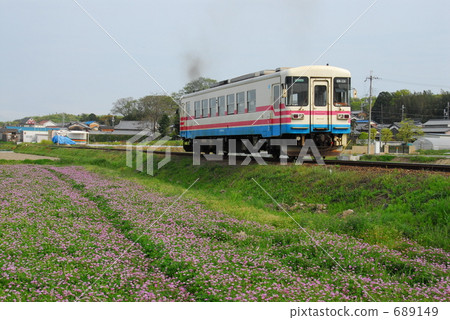沿著三木鐵路/石野站的黃芪田運行的火車 689149