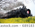 Spring steam locomotive Surrounded by cherry blossoms and rape flowers 689183