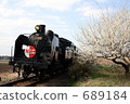 Spring steam locomotive with plum trees and blue sky 689184