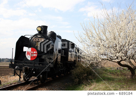 Spring steam locomotive with plum trees and blue sky 689184