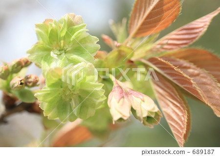 讓我們去木橋 689187