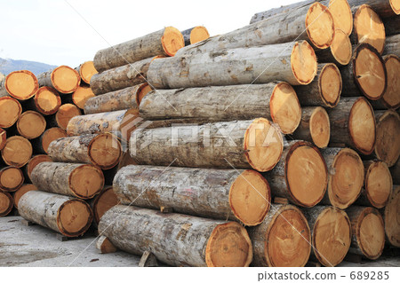 堆積的日誌 堆積的日誌 689285