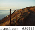Seaside fence and small diameter 689542