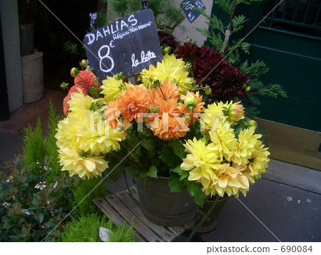 PARIS花店的大麗花 PARIS花店的大麗花 690084