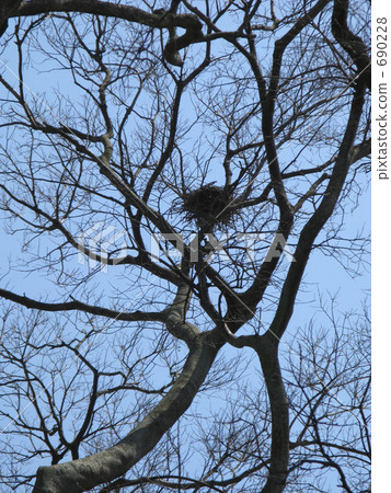 藍天和Ryugi和鳥巢 690228