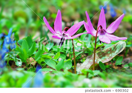 在春風中...... 690302