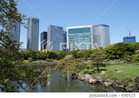 Building group seen from Hamarikyu 3 ③ Building group seen from Hamarikyu 3 ③ 690525