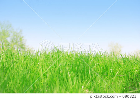 草原和天空 690823