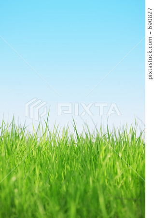 草原和天空 690827