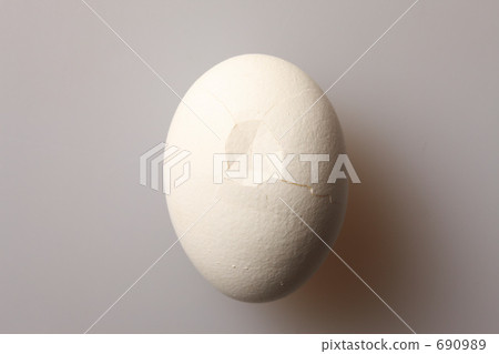 The egg The egg 690989