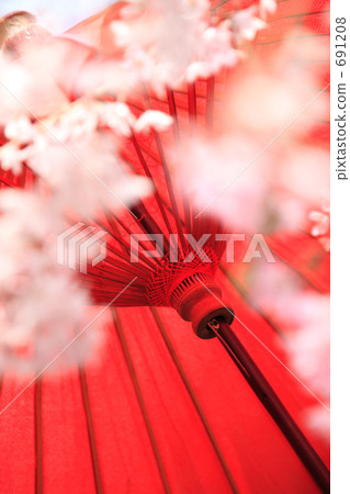 Sakura and a point 691208