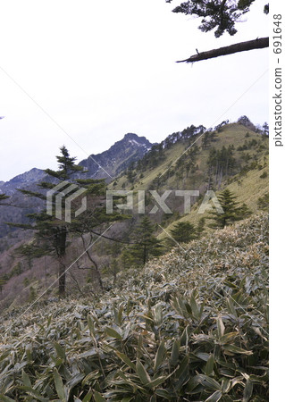 Ishizusan clay climbing trail road in April 691648