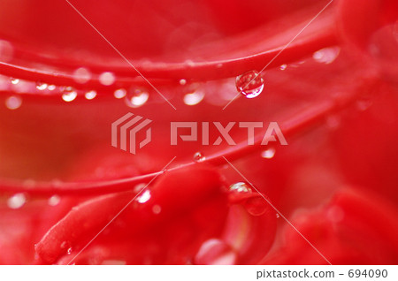 Sinking flower of rain Sinking flower of rain 694090