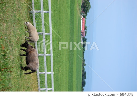 ★ Let's walk time ★ ★ Let's walk time ★ 694379