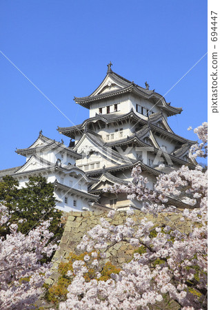 Sakura and Himeji Castle 694447