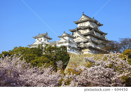 Sakura and Himeji Castle 694450
