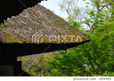 japanese construction, thatching, thatch roof 694469
