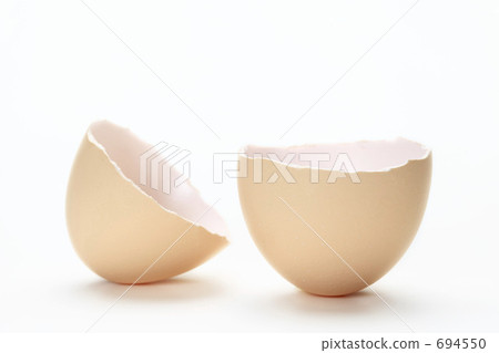 Egg shell  694550