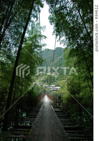 夏天森林和吊橋風景的圖像 694612