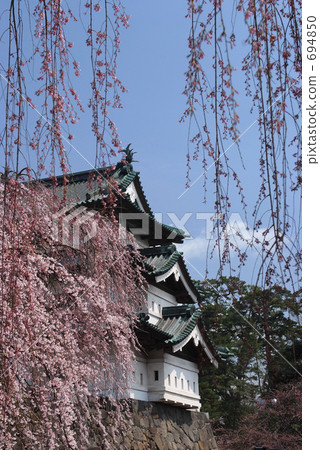 Hirosaki Castle Sakura 2009 694850