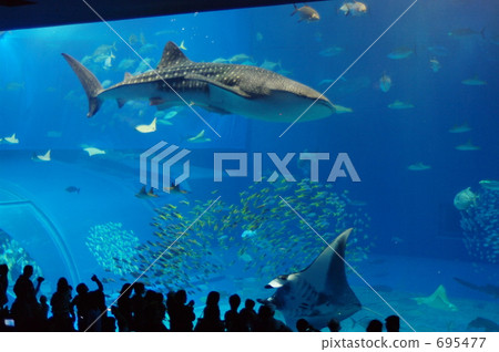 A giant tank of the world's largest acrylic panel A giant tank of the world's largest acrylic panel 695477