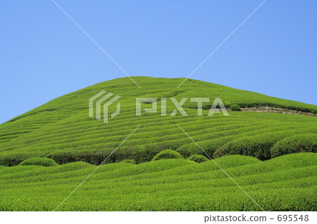 茶山2 695548