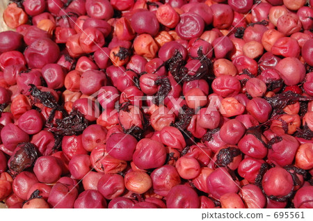 pickle, umeboshi, dried plum 695561