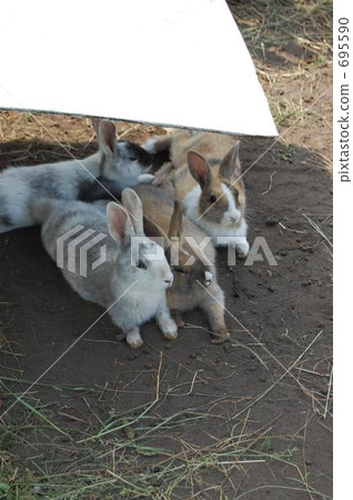 Seeking the shade · · · 695590