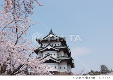 Sakura and Hirosaki castle 695772