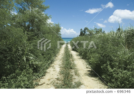 Road leading to the sea of Ishigakijima 696346