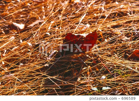 clear, fine, autumn 696589