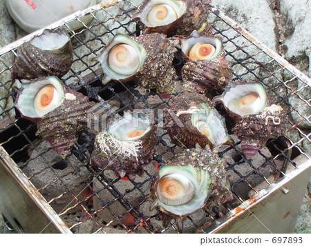 turban shell, clam in shell, isoyaki 697893