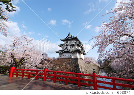 Sakura and Hirosaki castle 698074