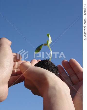 body part, body parts, sprout 698145