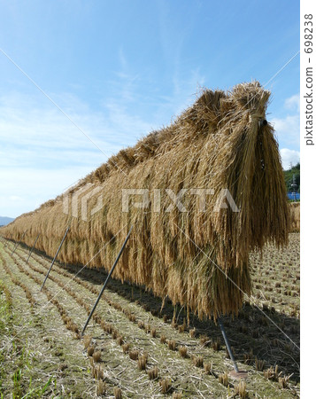 The rice which is hanging is delicious ☆ The rice which is hanging is delicious ☆ 698238