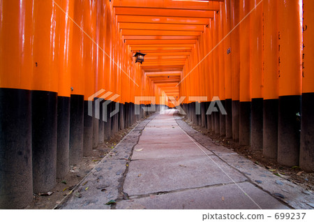 Fushimi Inari shrine Torii Torii 699237