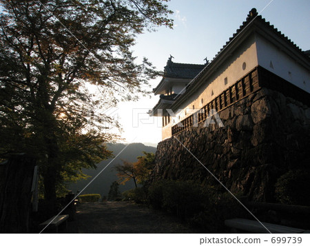 Castle of Gujo Hachiman Castle of Gujo Hachiman 699739
