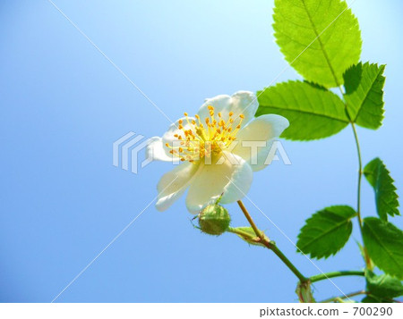 一台起重機 700290