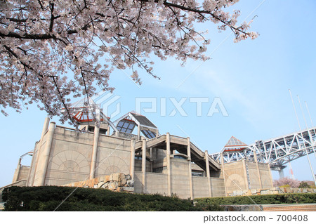 Sakura and the Seto Ohashi Bridge Memorial Park 700408