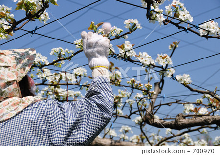 one person, cap, hat 700970