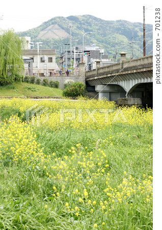 uppercase letter 701238