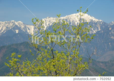 Fresh green and snowy mountains 702092