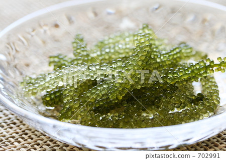 Sea grapes Ⅱ Sea grapes Ⅱ 702991
