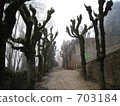 Misty Lemuil（Limeuil）-2 703184