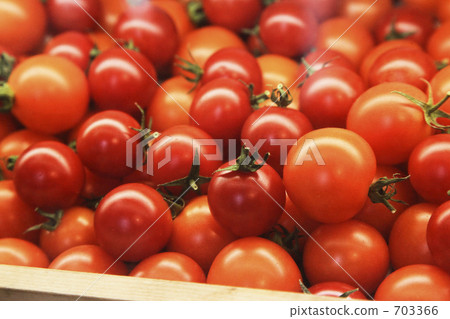  Mini Tomato 703366