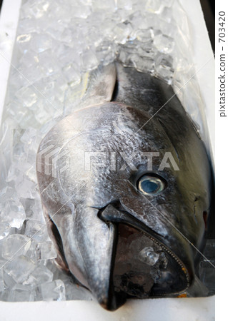 Tuna purchase 703420