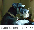 I'm a manly profile 703435